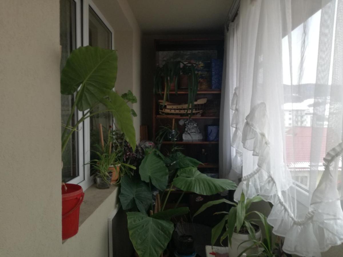 Apartament 2Camere - Prima Casa Флорешть Екстер'єр фото